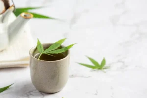 Cannabis & The Workplace